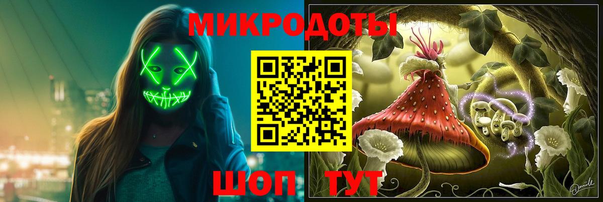 где найти   Псилоцибиновые грибы Cubensis  Вход с VPN  Междуреченск 