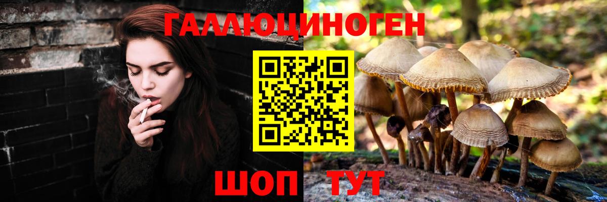 Псилоцибиновые грибы Magic Shrooms Междуреченск